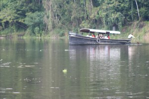 Observation RNPS PV2